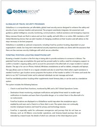 Employee Travel Security Services